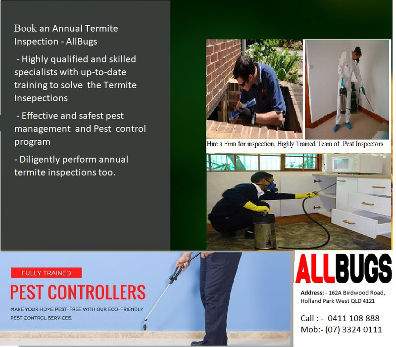 termite treatment services 