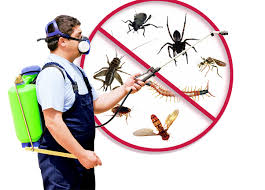 Pest Inspections services