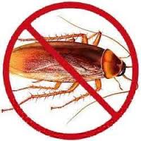 cockroach treatment Services 
