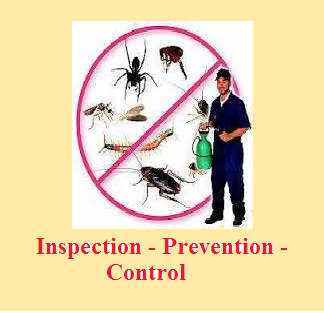 safety Pest Control
