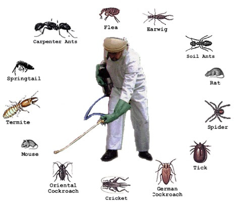 Pest Management Services 