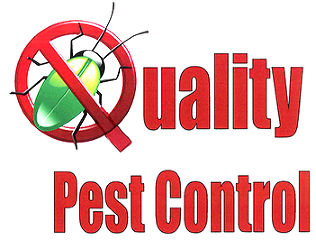 Pest Management Services Brisbane 